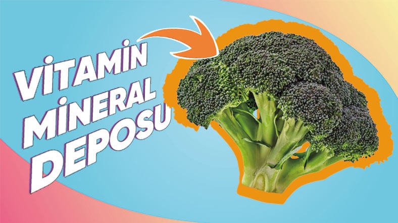 Birden fazla Kişinin Yemekte Zorlandığı Brokolinin Bilime Nazaran 11 Yararı