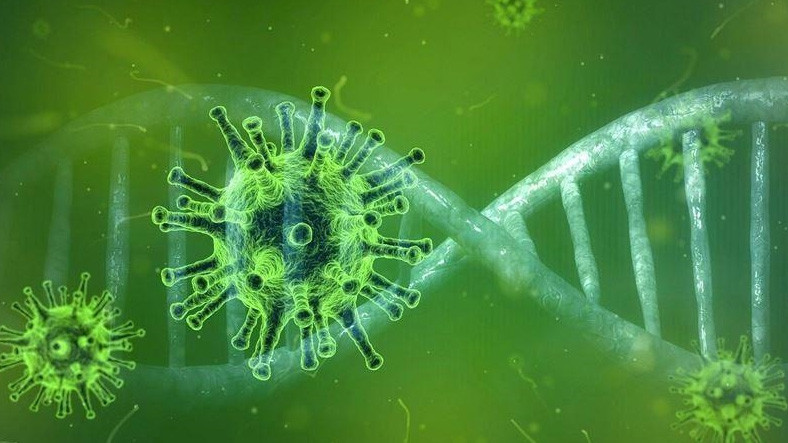 Fransa’da Koronavirüsün Yeni Bir Mutasyonu Tespit Edildi